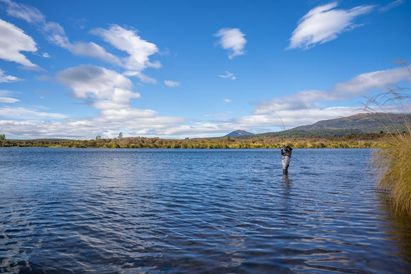 Karl Sawyer nets a fish on Lake Otamangakau