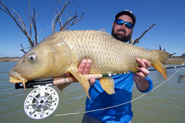 Lubin and Casey's Carp Carnage