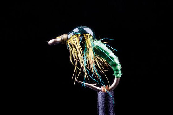 Friday Fly Day - The Humble Green Caddis