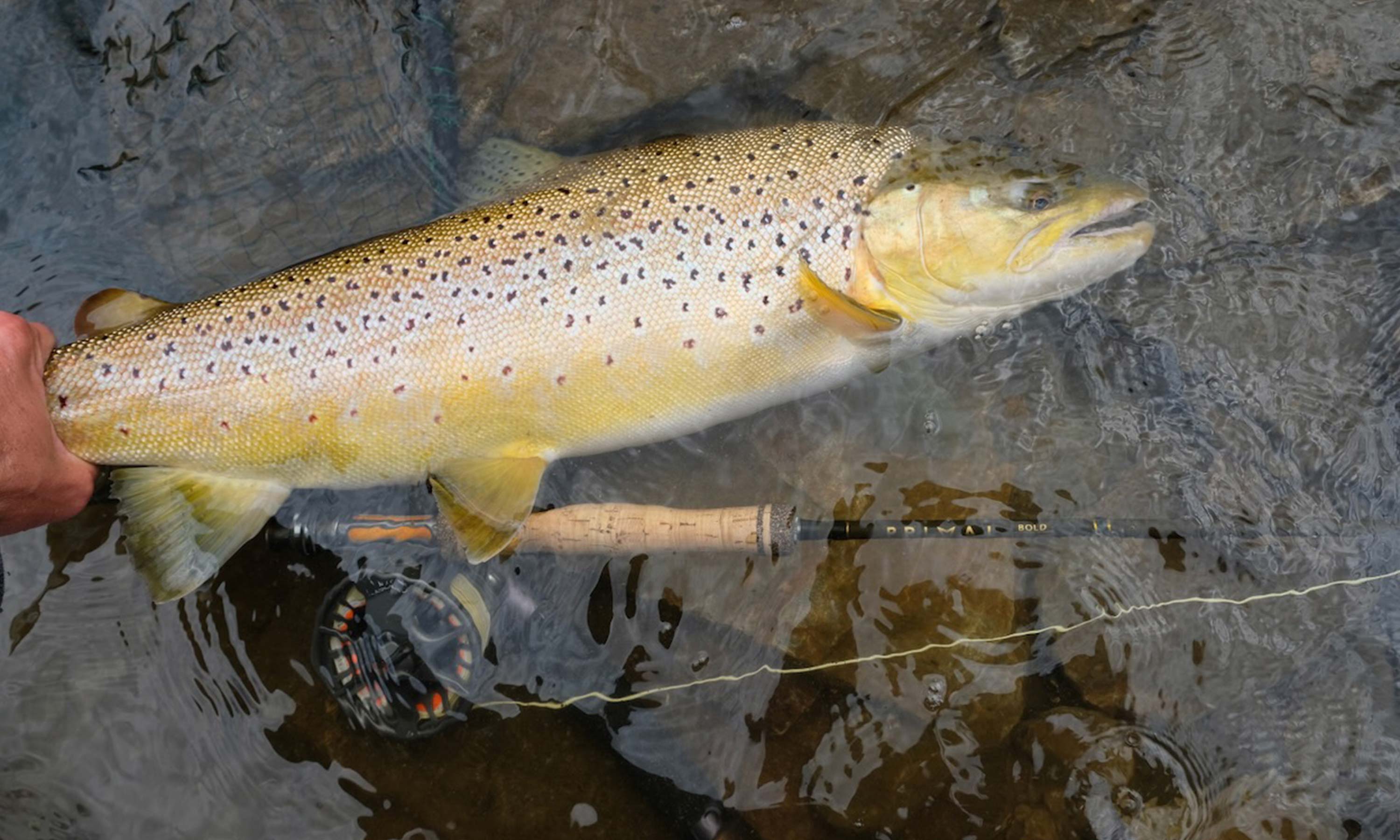 On the fly: Après with your fly rod