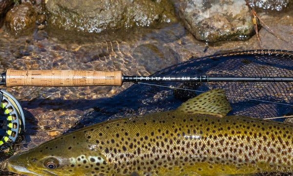 Fly Fishing Rod Review | Primal Raw - Old vs New CCC