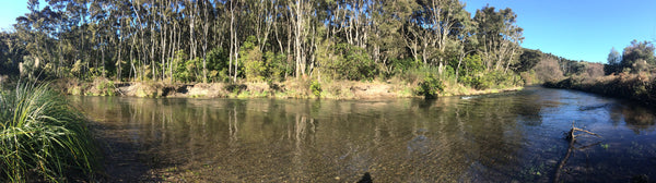 A Fly Fishing Guide To The Hinemaiaia River