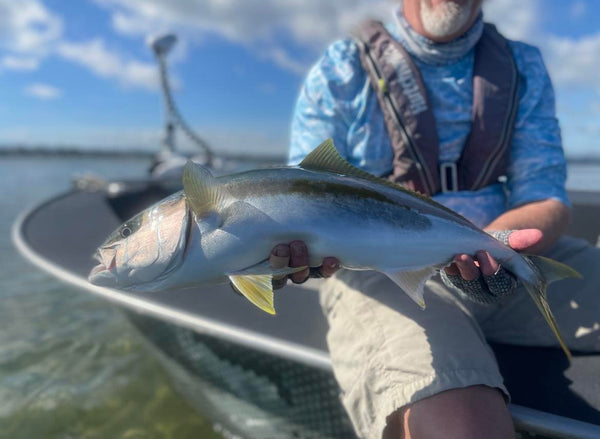 Saltwater fly fishing for kingfish on the flats