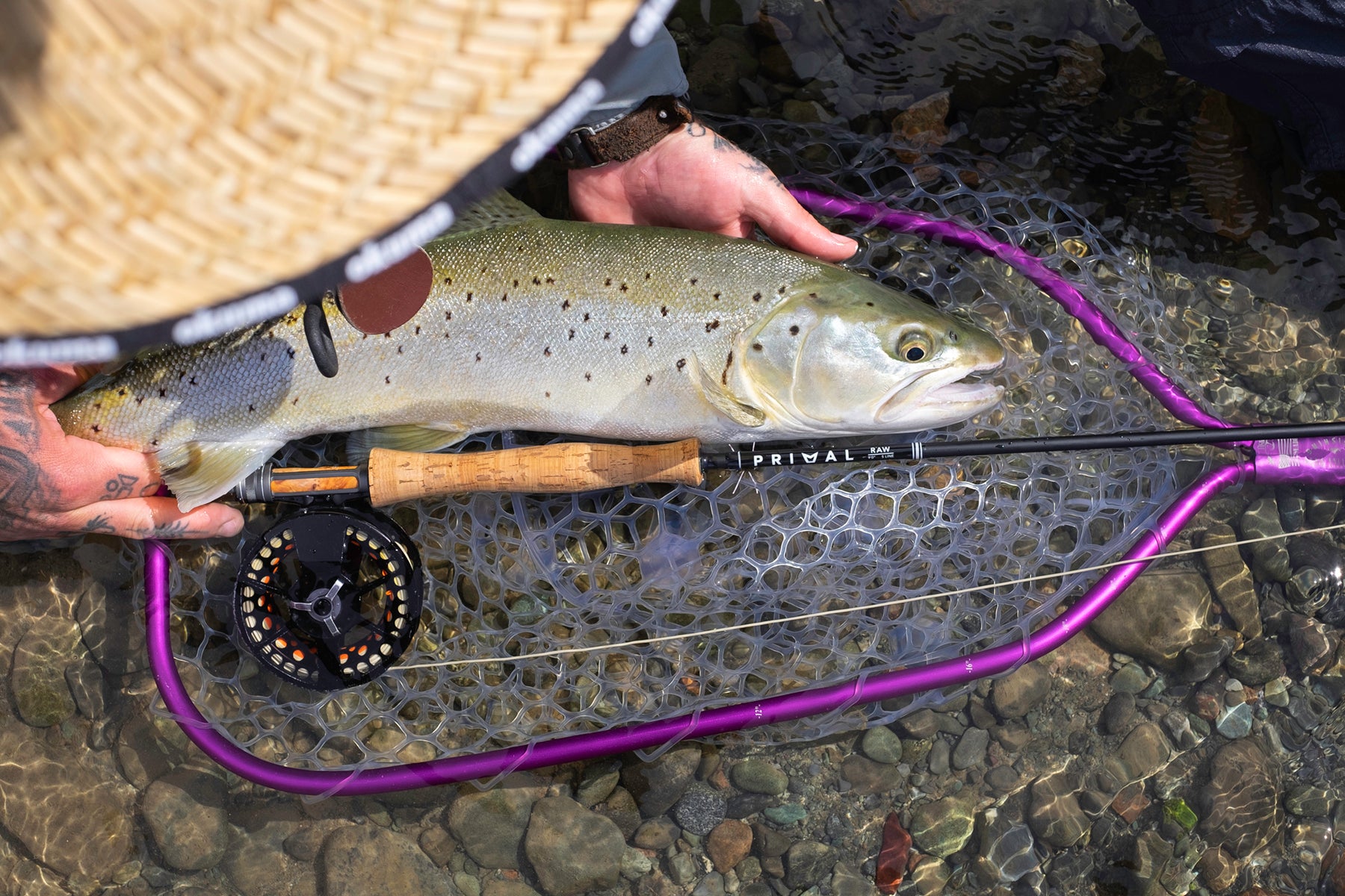 Primal Fly Rod Series Review – Manic Tackle Project
