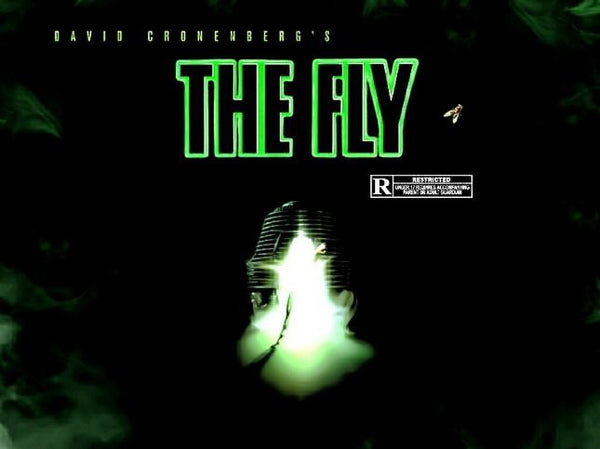 Friday Fly Day - The Fly