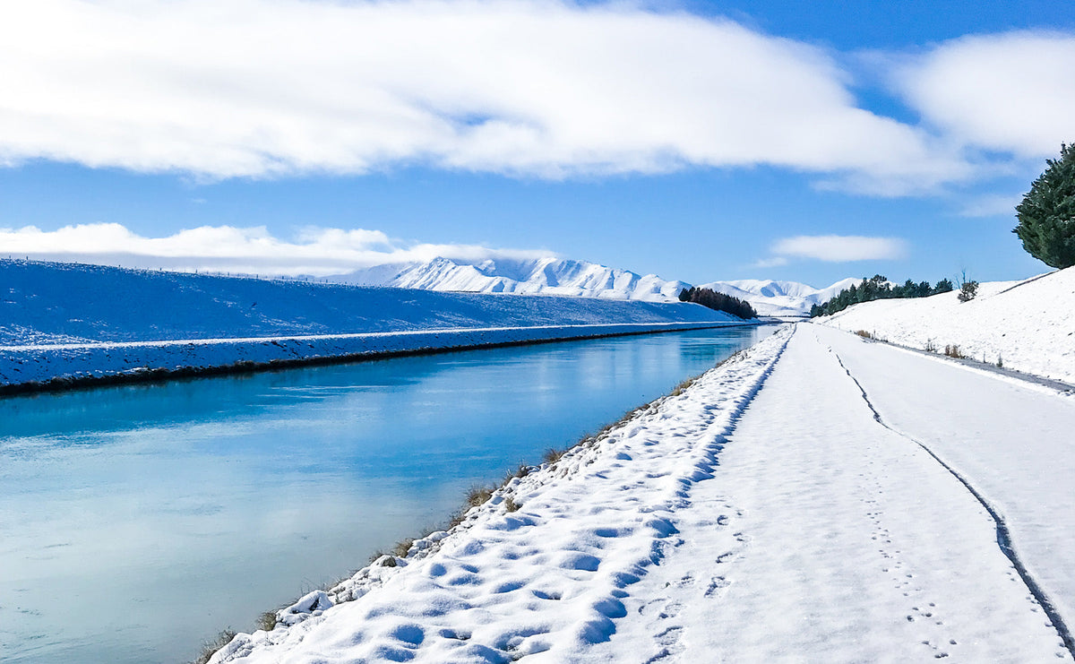 A Beginners Guide To Twizel Canals Fishing