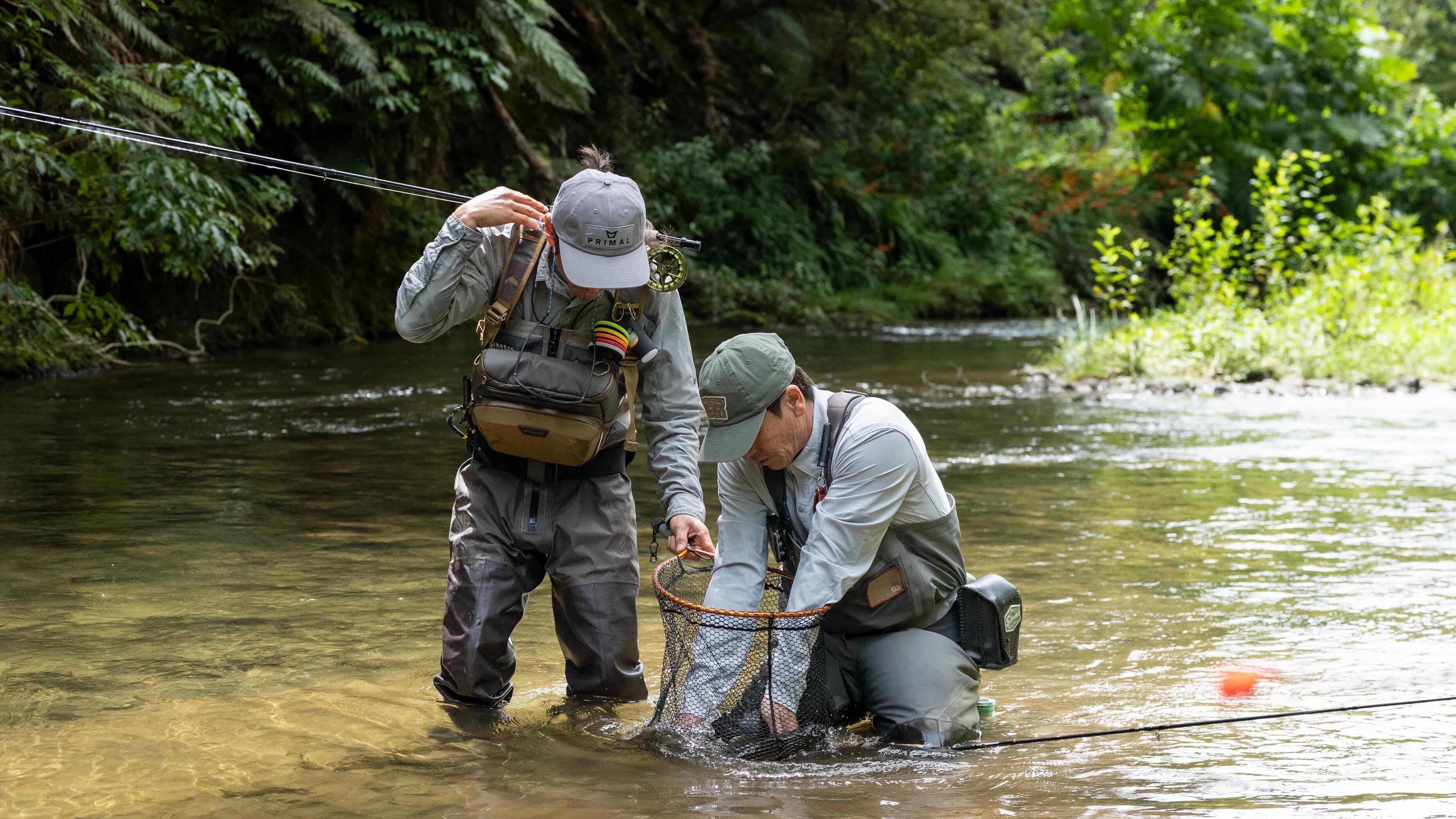 Fly Fishing New Zealand River