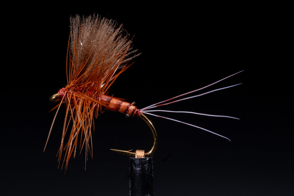 CDC Thorax Dun Dark Fishing Fly | Manic Fly Collection