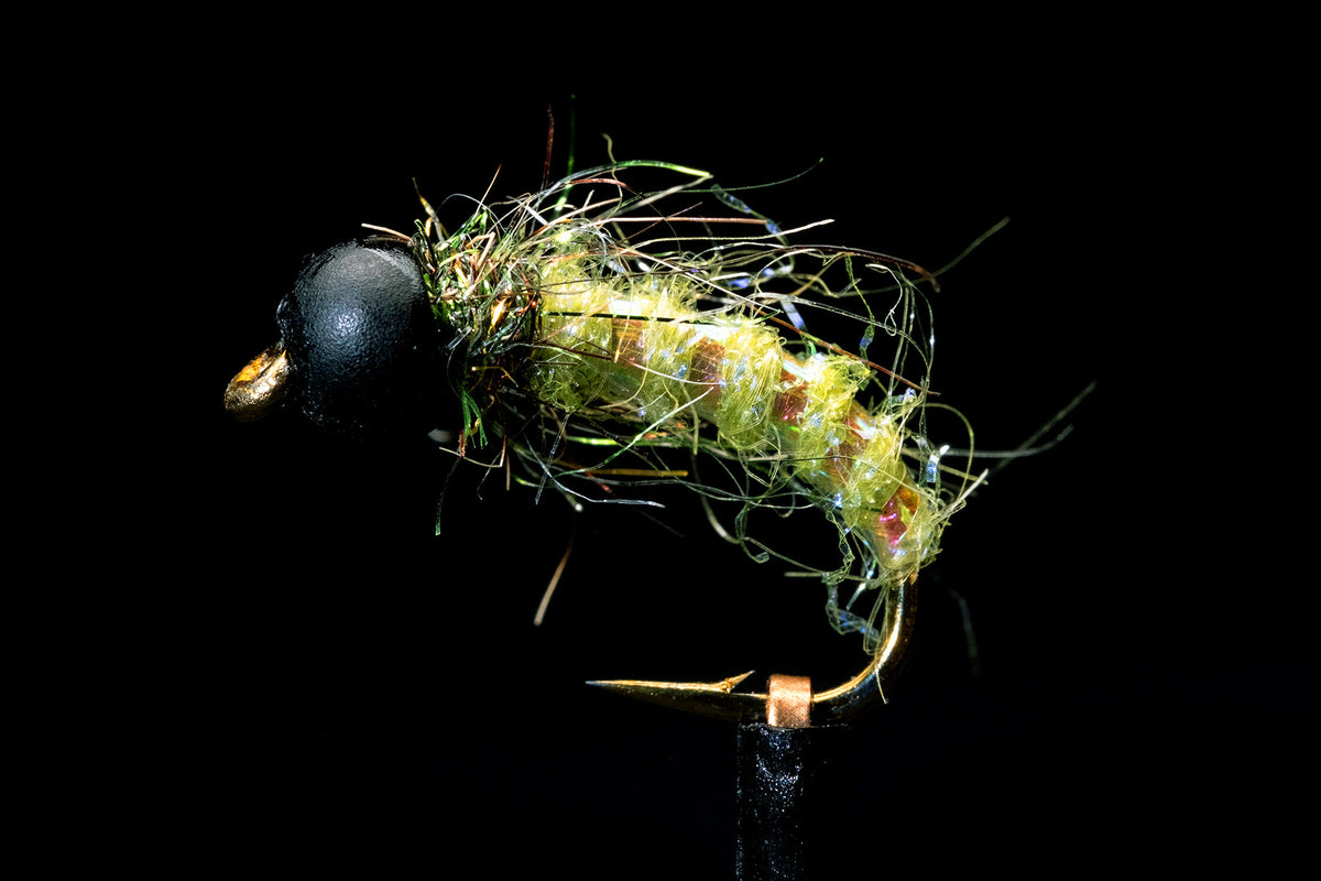 Flash Caddis - Green Slotted Tungsten Fishing Fly | Manic Fly Collection