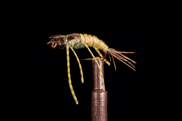 Davis' BC Stonefly Amber Fishing Fly | Manic Fly Collection