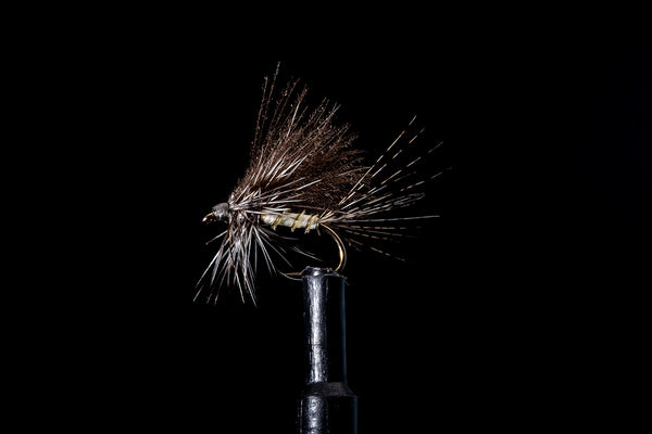 CDC Thorax Dun Grey Fishing Fly | Manic Fly Collection