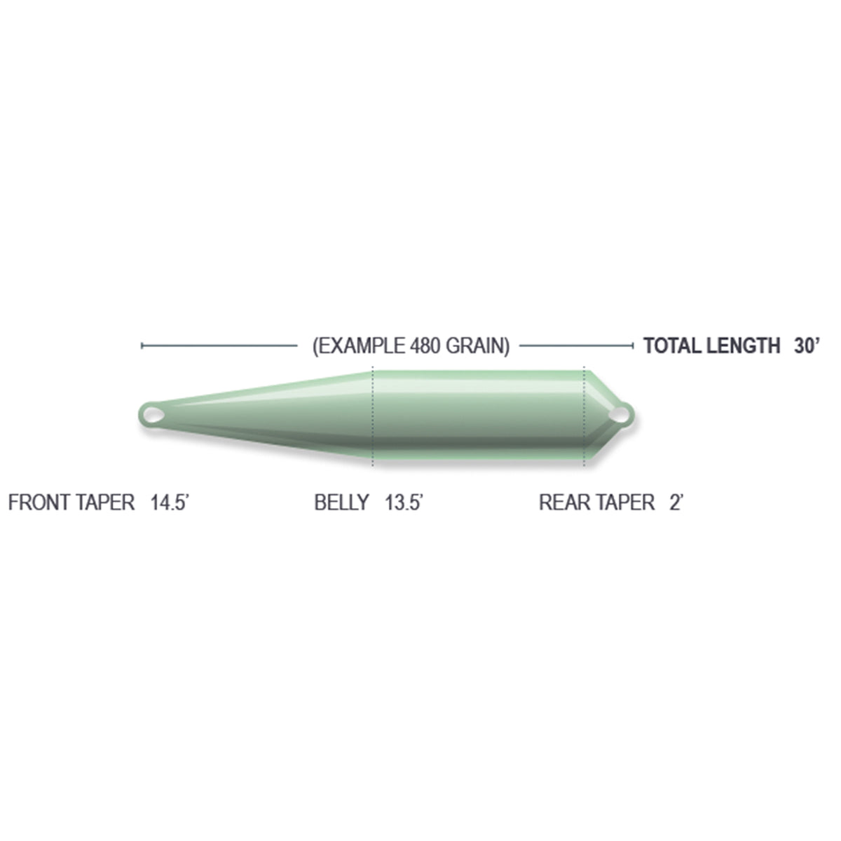 Airflo Rage Fly Fishing Compact Head