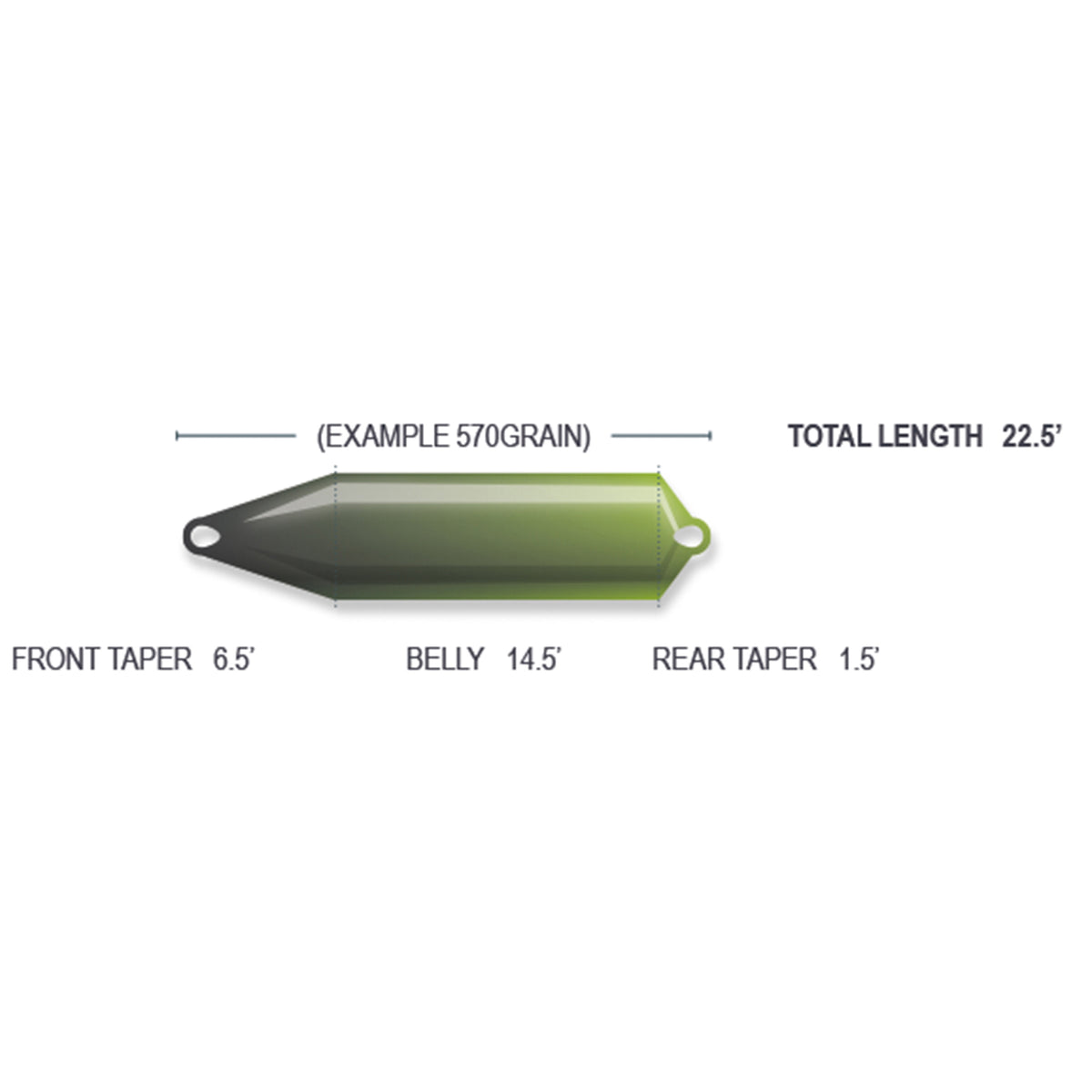Airflo Fly Fishing Skagit Compact F.I.S.T Head