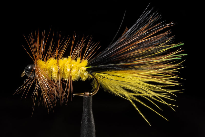BH Cleveland Streamer | Manic Fly Collection