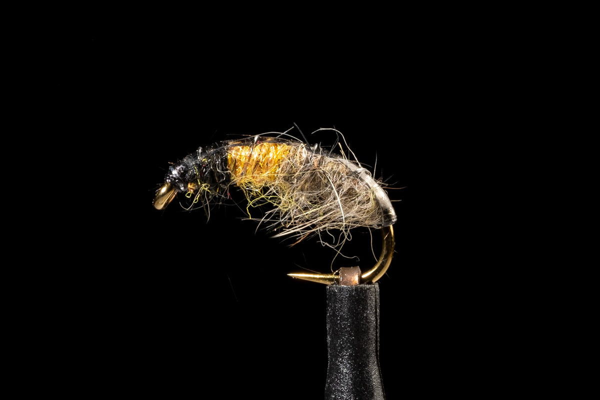 Hot Spot Czech Nymph Caddis Tan/Orange | Manic Fly Collection
