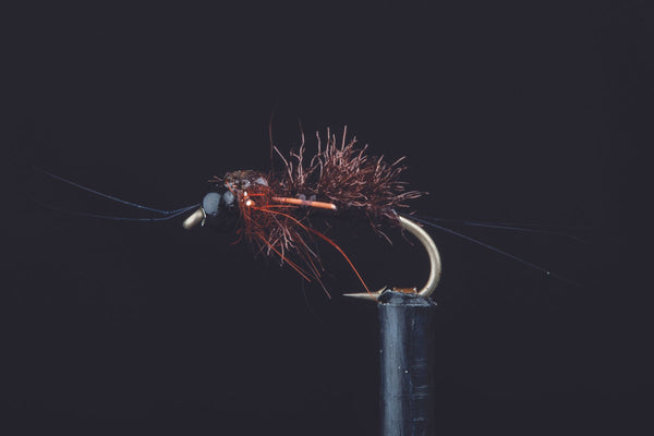 Kyle's Coloboriscus | Manic Fly Collection