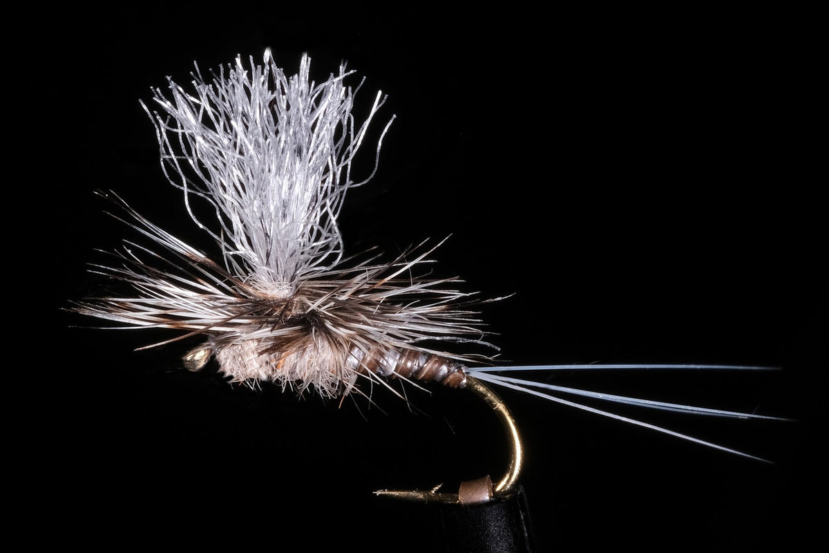 Kyle's Nesameletus | Manic Fly Collection