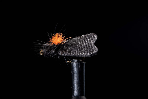 Low Light Caddis-Black Fishing Fly | Manic Fly Collection
