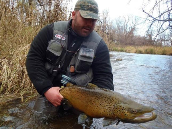 Still Catching The Big Browns
