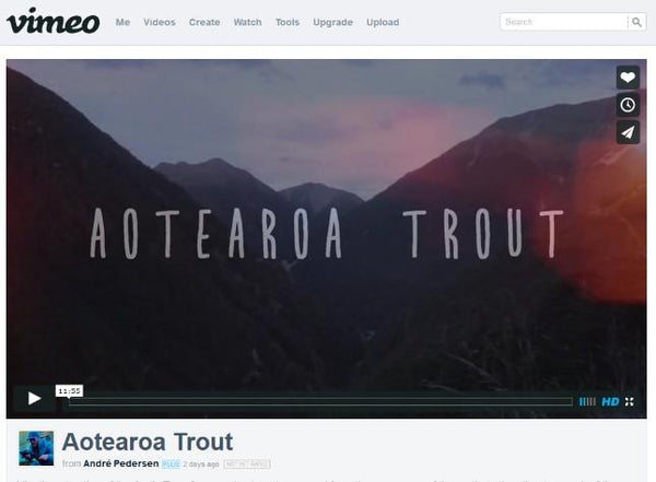 Aotearoa Trout