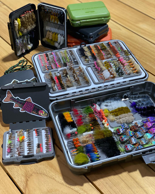 The BWC flies C&F Universal System Journey