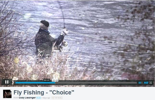 Make the choice