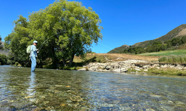 The Emerging Dun | The Mataura River series by Chris Dore