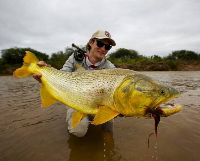 Scott S4S Fly Rod – Manic Tackle Project
