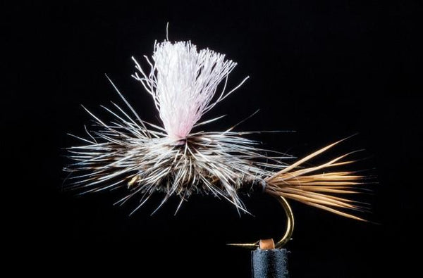 Friday Fly Day Early Season Top 10 - #6 Guide Chute Hare's Ear