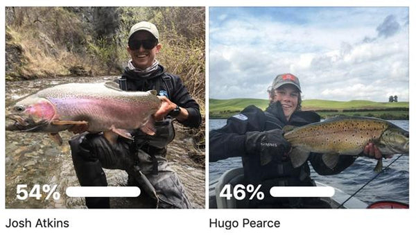 The Manic Hog Of The Year Award is Complete!