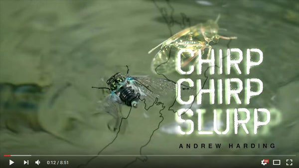 Andrew Harding - Chirp Chirp, Slurp!
