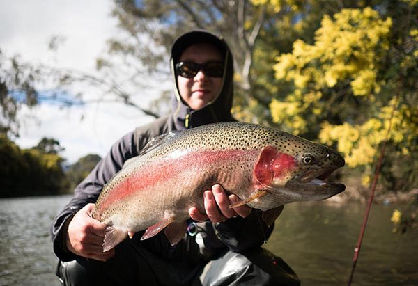 Team Tuesday - James and the Giant Trout
