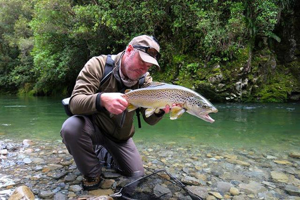 Beware Wellington trout, Andrew Harding is back!