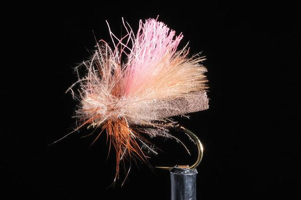 Friday Fly Day - Jake's All Season Caddis