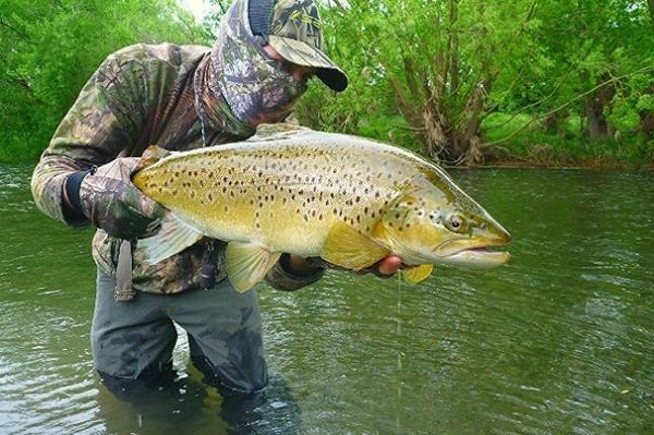 Trout Hunter