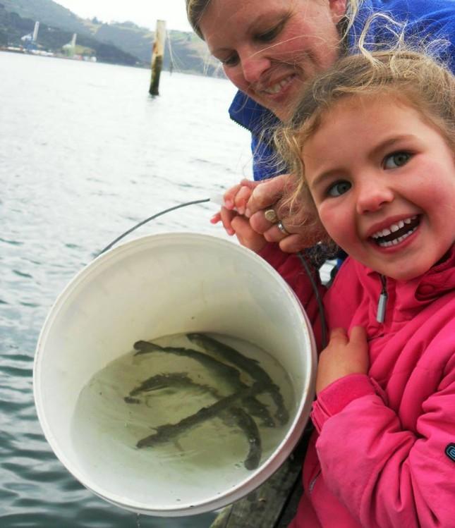 Kaikoura Salmon Enhancement Society Manic Tackle Project