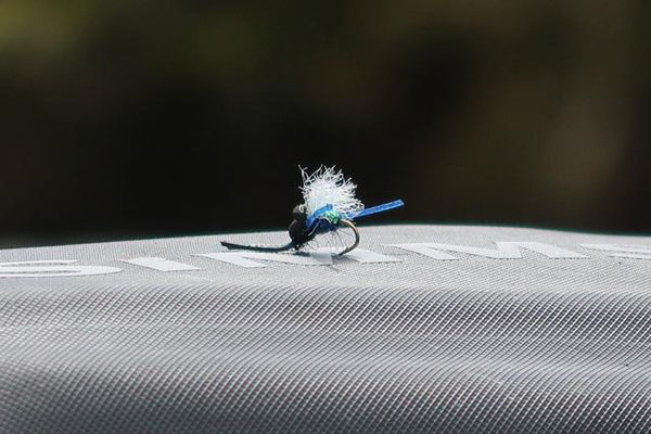 Friday Fly Day - The Low Blow