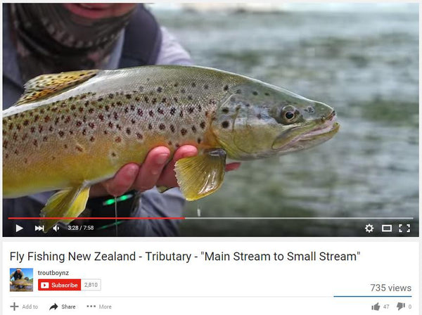 Fly Fishing New Zealand - Tributary - "Main Stream to Small Stream"