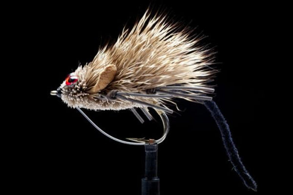MOUSE