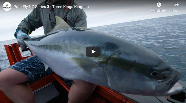 Pure Fly NZ Series 3 - Three Kings Kingfish