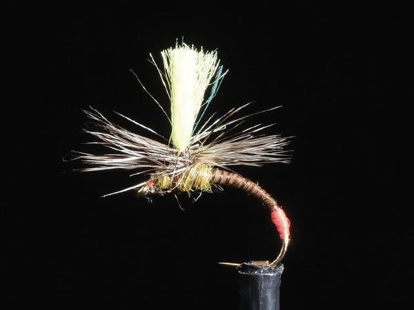 Friday Fly Day - Quill Klink
