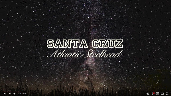 Atlantic Steelhead - Santa Cruz River feat. Tim Angeli