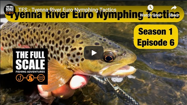The Full Scale - Tyenna River Euro Nymphing Tactics
