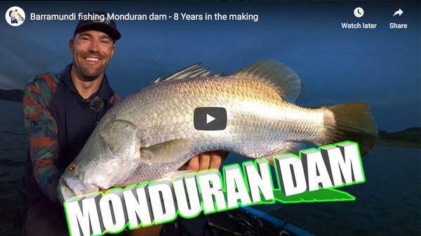 Manic Monday - Barramundi Fishing Monduran Dam