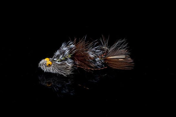 Friday Fly Day - Kelly Galloup