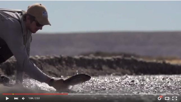Collon Cura River with Patagonia River Guides