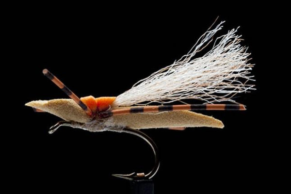 Can we get excited about flies?
