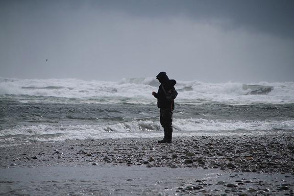 Techy Thursday - Chasing Whitebait
