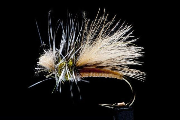 Friday Fly Day Early Season Top 10 - #4 Wikes Siddac