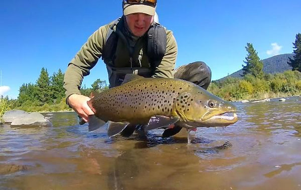 Trophy Trout